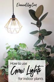 Guide To The Best Led Grow Lights Dossier Blog