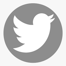 The color theme that they chosen is black, dark purple, and grey. Logo Twitter Circle Grey Current Twitter Logo Png Transparent Png Transparent Png Image Pngitem