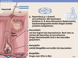 Hintergrund Gelegentlicher Drogenkonsum Nicht Sicher Nachweisbar Politik Faz