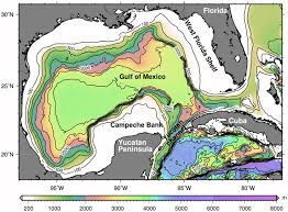 Brine pools, on one hand, provide the basis for life through chemosynthesis for creatures living near them on the bottom of the ocean. Gulf Of Mexico Coastal And Shelf Modeling University Of Miami