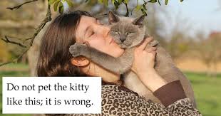 The best gifs for love your pet day. Memebase National Pet Day All Your Memes In Our Base Funny Memes Cheezburger