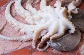 El pulpo es un molusco característico por sus ocho tentáculos con ventosas y su enorme cabeza. El Pulpo Fresco O Congelado Como Limpiarlo Y Prepararlo Cocinar Pulpo Pulpo Como Cocinar