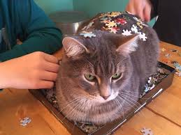 Here are two of the usual solutions to the 9 dot puzzle 30 Photos That Show The Reality Of Trying To Finish A Puzzle With Your Cat Bored Panda