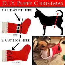 Pin By Dani Millar Bruna On My Dog Boo Christmas Dog Outfits Christmas Dog Costume Diy Dog Stuff