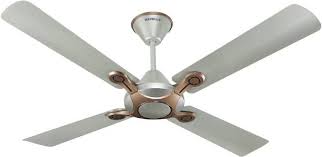 Alabama's first boutique hotel, the gunrunner is located in the heart of florence and is one of the best small town boutique hotels in the south. Fan Buy Ceiling Fans Starting From Rs 899 Online Limited Stock At Low Prices In India Flipkart