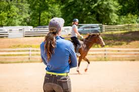 Thoroughbred Logic: Habits