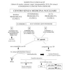 Embolia polmonare o tromboembolia polmonare. Iter Diagnostico In Pazienti Con Sospetta Embolia Polmonare E Download Scientific Diagram