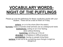 Vocabulary Words Night Of The Pufflings