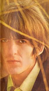 Ron Chambliss (chamblissron)