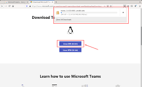 Follow the above instructions for arch linux. How To Install Microsoft Teams On Debian 10