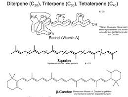Anabolik steroidlerin kötüye kullanımı tedavisi konusunda atılması gereken ilk adım; Chemie Terpene Und Steroide Flashcards Quizlet