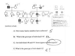 Hand out the word match activity worksheet and ask students to work in pairs to complete the worksheet. Genetics Pedigree Worksheet Answers Worksheet List