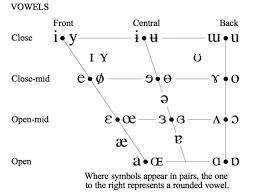 The international phonetic alphabet (ipa) is a standardized system of pronunciation (phonetic) symbols used, with some variations, by many dictionaries. The Ipa Chart For Language Learners
