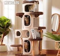 Cat House – MEWCATS