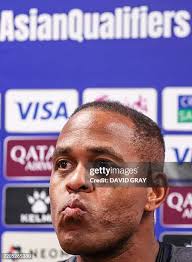 388 Ina Gray Stock Photos, High-Res Pictures, and Images