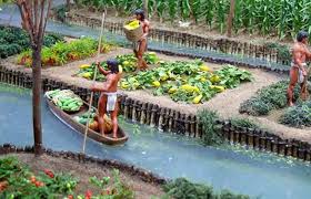 See reviews and photos of tours in chiapas, mexico on tripadvisor. Travelling In Time Exploring The Chinampas Of Tlahuac Mexico City Exploring Mexico Explorando Mexico