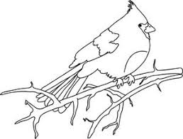 Well colour me shooketh at this revelation. Cardinal Clipart Image Bird Coloring Page Of A Cardinal On A Tree Branch Bird Coloring Pages Coloring Pages Animal Coloring Pages