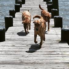 Philip Bye (@phil.bye) • Threads, Say more