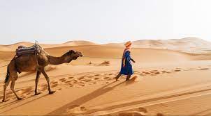 Tripadvisor has 32,231 reviews of merzouga hotels, attractions, and restaurants making it your best merzouga resource. A Guide To Trekking Morocco S Scorching Desert