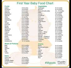 Pin By Lourian Johnson On Good To Know Baby First Foods