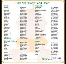 Pin By Lourian Johnson On Good To Know Baby First Foods