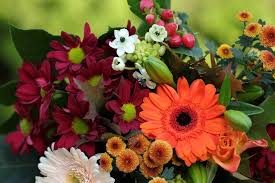 5 flores abundantes em fevereiro para colorir a casa no verão | Paisagismo  | Casa e Jardim