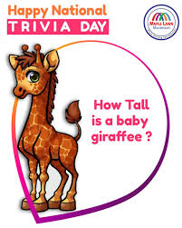 Buzzfeed staff, canada keep up with the latest daily buzz with the buzzfeed daily newsletter! Happy National Trivia Day Answer The Question Below Montessori Toddler Activities This Or That Questions Trivia
