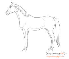 Draw your character winning a fight eden is a weak little noodle so really the only fight he ever won was getting his. How To Draw A Horse From The Side View Tutorial Easydrawingtips Horse Head Drawing Horse Drawings Horse Drawing
