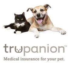 Trupanion is a pet insurance company that offers a range of benefits, including one simple plan, no age limitations, and the ability to pay veterinarians directly within minutes. 8 Pet Insurance Ideas Pet Insurance Pet Health Pets
