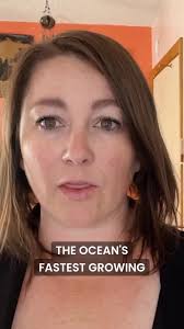 🌊 New episode dropped today! 🌱 Why should you care about kelp? These  underwater forests are some of the ocean’s best kept secrets, and some of  its biggest climate heroes. In this episode, we talk with ...