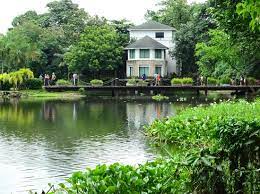 There has been a huge improvement in this park over 3 decades. In The Middle Of The Lake Picture Of Ninoy Aquino Parks And Wildlife Center Luzon Tripadvisor