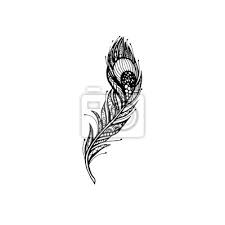 Weitere ideen zu federtattoos, feder tattoo, tattoo ideen. Feder Tattoo Design Fototapete Fototapeten Mittelalter App Flugel Myloview De