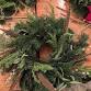 Foliage Wreath workshop S and H shop event image