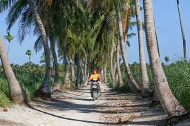 Instead of the fancy over the water bungalows, i chose to stay with. How To Travel The Maldives On A Budget Young Adventuress