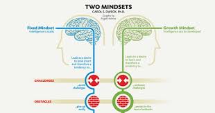 Fixed Vs Growth The Two Basic Mindsets That Shape Our