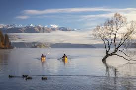 New zealand is a remote land—one of the last sizable territories suitable for habitation to be populated and settled—and lies more than 1,000 miles (1,600 km) southeast of australia, its nearest neighbour. Covid Free New Zealand Cancels Its Opera Slipped Discslipped Disc The Inside Track On Classical Music And Related Cultures By Norman Lebrecht
