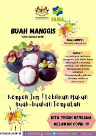 Antara khasiat mereka ialah mengandungi bioflavanoid yang boleh mengubati penyakit. Fama Malaysia S Tweet Repost Fama Pulau Pinang Kelebihan Kebaikan Buah Buahan Tempatan Buah Buahan Tempatan Ialah Buah Buahan Yang Terdapat Di Negara Kita Malaysia Antara Contoh Buah Buahan Tempatan Ialah Durian Rambutan Manggis