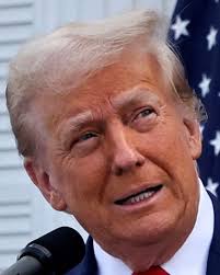 Si se volvieran a realizar las elecciones presidenciales del 2024, con  quién irían mi gente 🤔🇺🇸