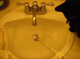unclog your kitchen sink drain tonight