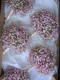 Trying To Figure Out Something Simple But Special For Your Bridemaids Fluffy Clouds Of Pink Navy Wedding Flowers Simple Wedding Flowers Boho Wedding Flowers