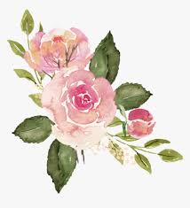 However, his chances were lost at the birth of his nephew, simba. Watercolor Roses Flowers Floral Bouquet Pink Watercolor Pink Rose Png Transparent Png Transparent Png Image Pngitem
