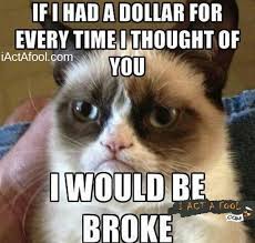 If I Had A Dollar For Every Time I Jokes If I Had A Dollar For Every Time I Thought Of You I Would Be Broke Funny Grumpy Cat Memes