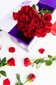 Pin On Roses