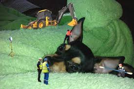 kak chistit ushi toj tereru i kak delat eto pravilno