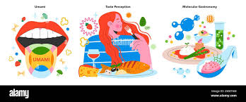 Image result for Taste Sensation