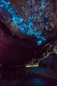 Check out our floods section for more flooding events which seem to be occurring more frequently around the world these days. Biolumineszenz Weltweit Hier Leuchtet Die Natur Travelgrapher De