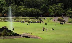Bagi anak di bawah 4 tahun, gratis biaya masuk. Kebun Raya Bogor Tempat Wisata Hits Di Bogor Yang Tak Pernah Usang