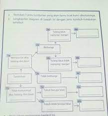 Check spelling or type a new query. Lengkapilah Diagram Dibawah Inu Dengan Jenis Tumbuh Tumbuhan Tersebut Brainly Co Id