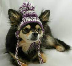 Dog Hat With Ear Holes Free Crochet Pattern Google Search Doggie Cat Crochet Sueteres Para Perros Ropa Para Perros Gorras Para Perros