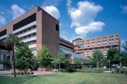 Search and apply for the latest uf health shands hospital jobs. Jobs At Uf Health Shands Hospital Hospitalcareers Com